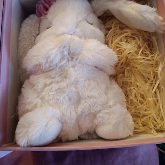 Tickle & Main "Every Bunny Prays" Book & Bunny, like new, bunny prays - Picture 2 of 10